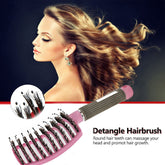 Hairbrush Anti Kilt Brushy Harbors Women Detangler Hair Brush